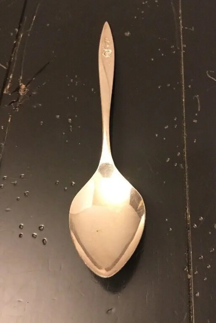 Oneida Community Silverplate Flatware Morning Rose 8.5